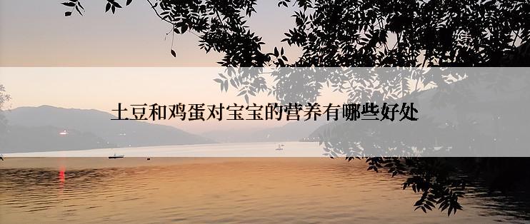 土豆和鸡蛋对宝宝的营养有哪些好处