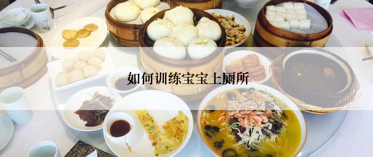  如何训练宝宝上厕所