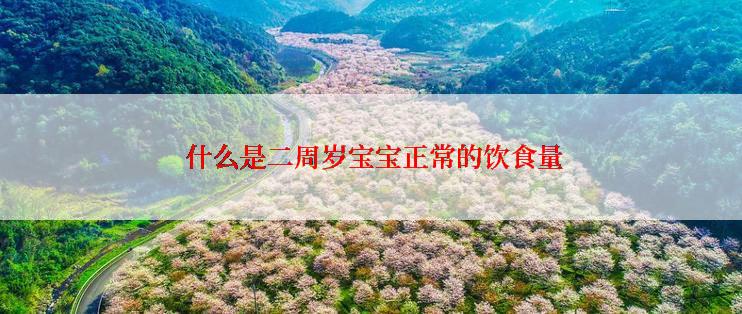  什么是二周岁宝宝正常的饮食量