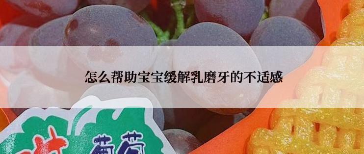  怎么帮助宝宝缓解乳磨牙的不适感