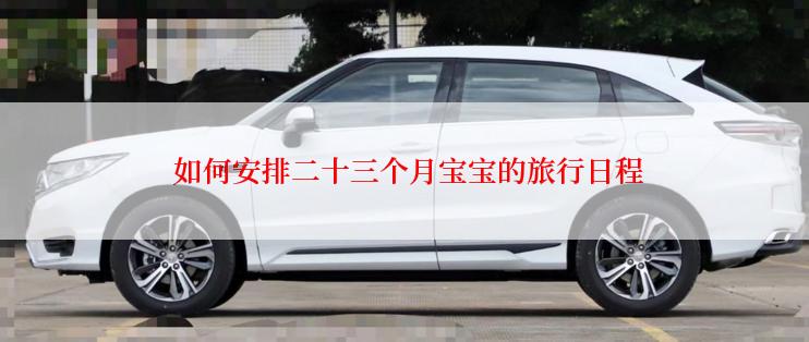  如何安排二十三个月宝宝的旅行日程