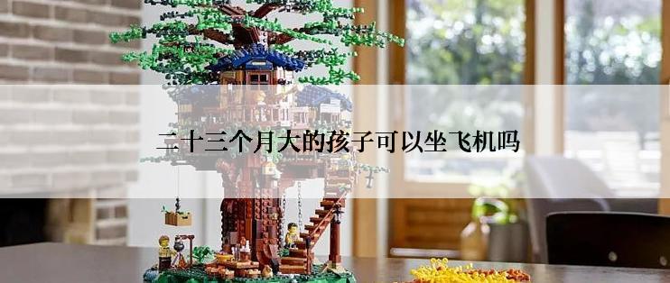  二十三个月大的孩子可以坐飞机吗