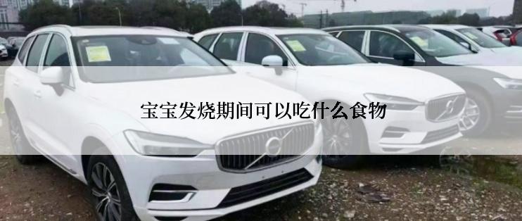  宝宝发烧期间可以吃什么食物