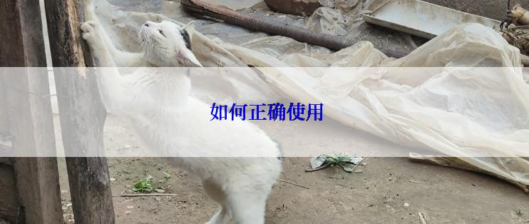  如何正确使用