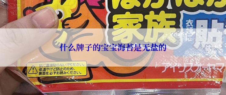 什么牌子的宝宝海苔是无盐的