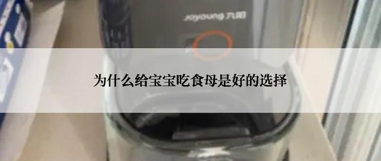 为什么给宝宝吃食母是好的选择