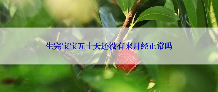 生完宝宝五十天还没有来月经正常吗