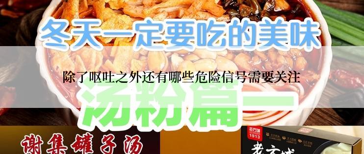 除了呕吐之外还有哪些危险信号需要关注