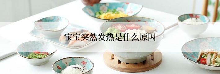 宝宝突然发热是什么原因