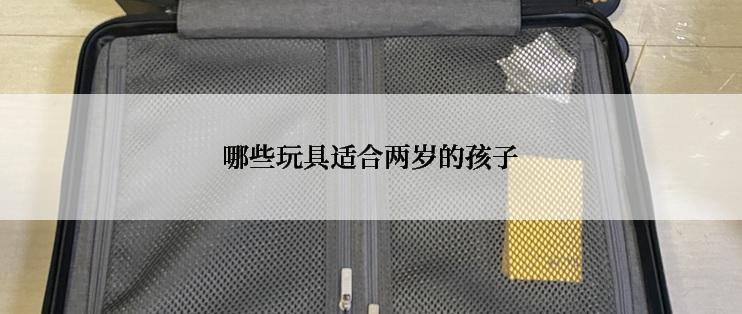 哪些玩具适合两岁的孩子