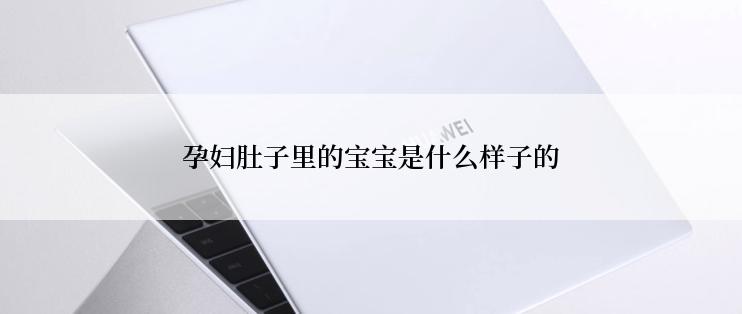 孕妇肚子里的宝宝是什么样子的