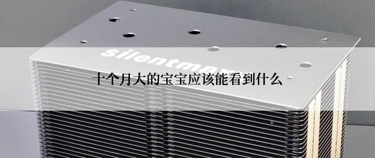 十个月大的宝宝应该能看到什么