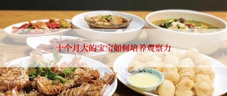 十个月大的宝宝如何培养观察力