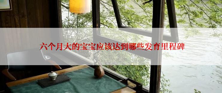  六个月大的宝宝应该达到哪些发育里程碑
