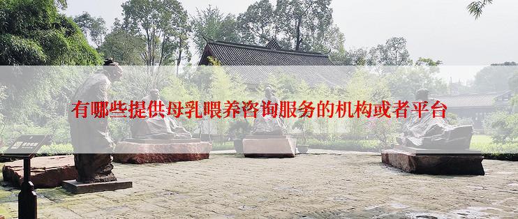 有哪些提供母乳喂养咨询服务的机构或者平台