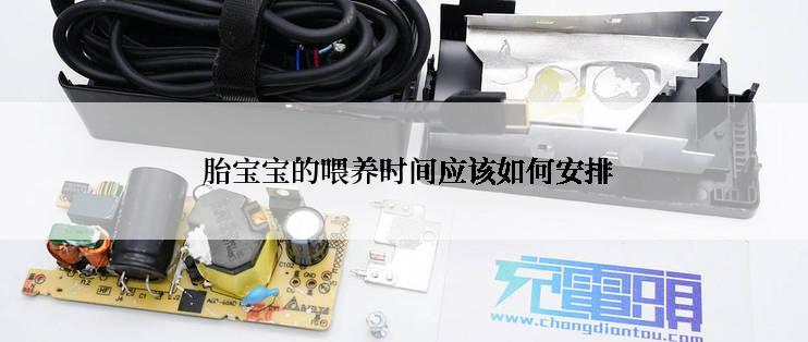  胎宝宝的喂养时间应该如何安排