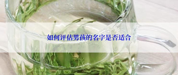 如何评估男孩的名字是否适合