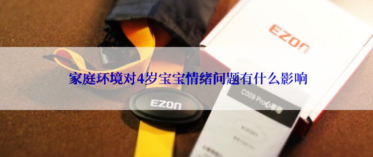 家庭环境对4岁宝宝情绪问题有什么影响