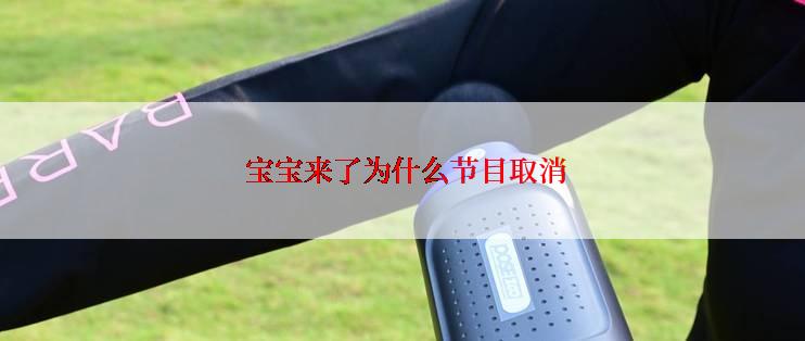  宝宝来了为什么节目取消