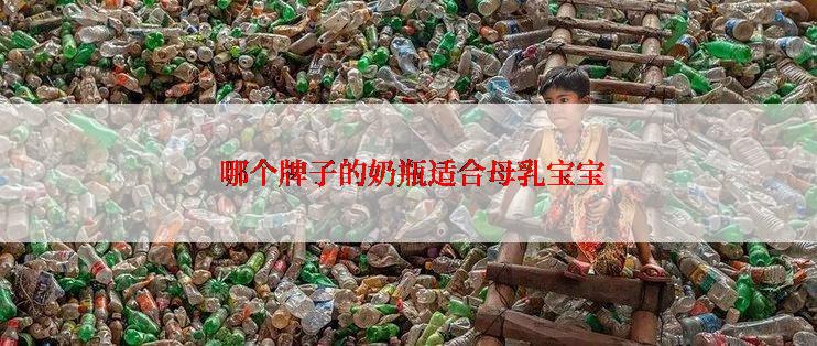  哪个牌子的奶瓶适合母乳宝宝
