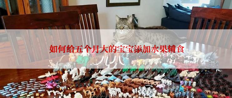 如何给五个月大的宝宝添加水果辅食