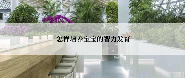 怎样培养宝宝的智力发育