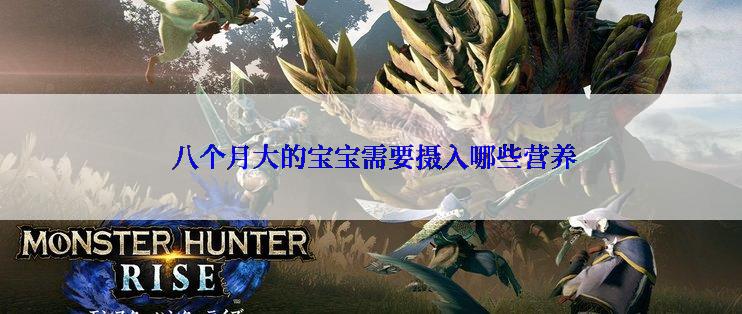  八个月大的宝宝需要摄入哪些营养