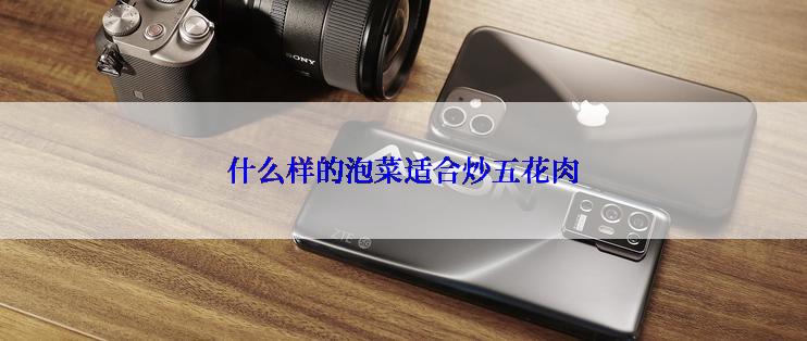 什么样的泡菜适合炒五花肉