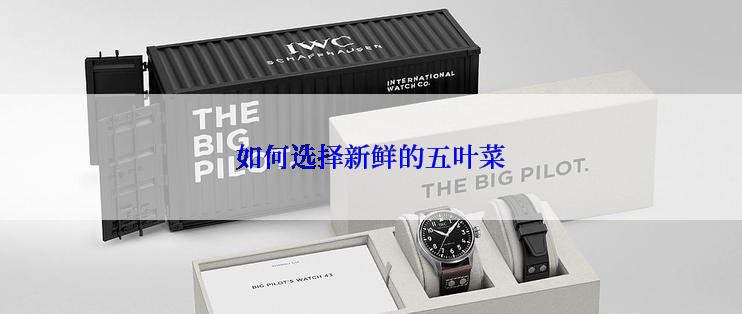 如何选择新鲜的五叶菜