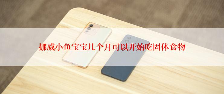 挪威小鱼宝宝几个月可以开始吃固体食物