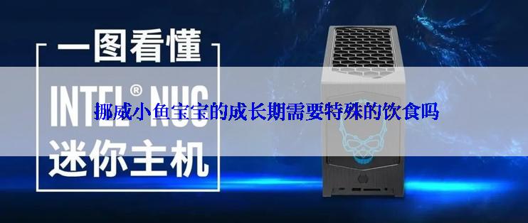  挪威小鱼宝宝的成长期需要特殊的饮食吗