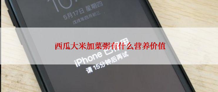  西瓜大米加菜粥有什么营养价值