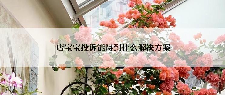  店宝宝投诉能得到什么解决方案