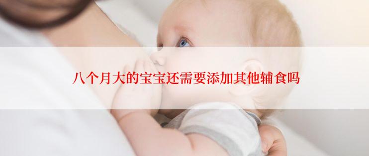  八个月大的宝宝还需要添加其他辅食吗