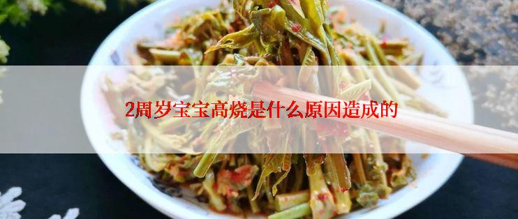  2周岁宝宝高烧是什么原因造成的