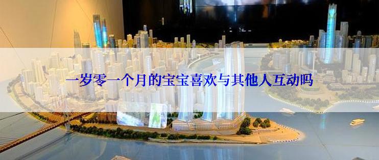 一岁零一个月的宝宝喜欢与其他人互动吗