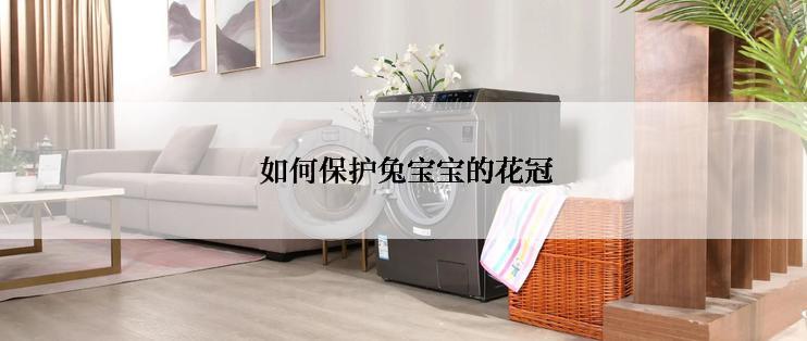  如何保护兔宝宝的花冠