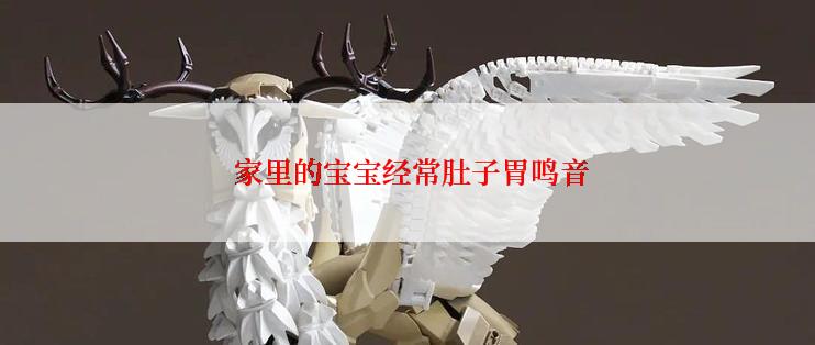  家里的宝宝经常肚子胃鸣音