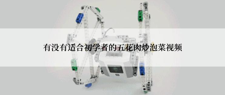 有没有适合初学者的五花肉炒泡菜视频