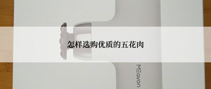 怎样选购优质的五花肉
