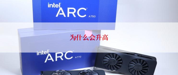 为什么会升高
