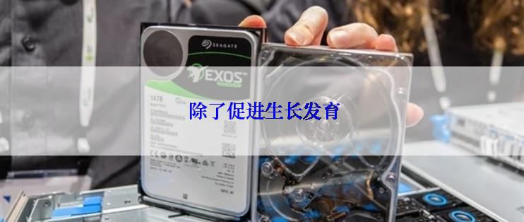  除了促进生长发育