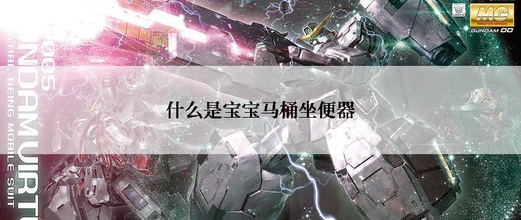 什么是宝宝马桶坐便器