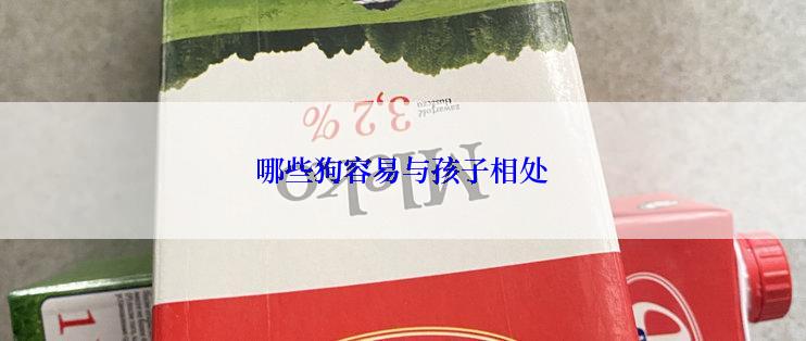 哪些狗容易与孩子相处