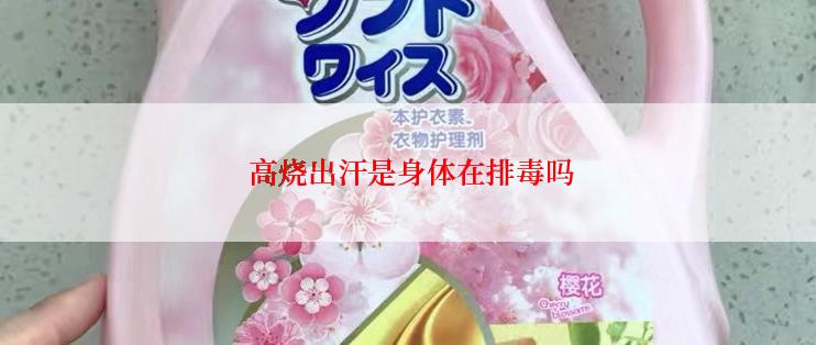  高烧出汗是身体在排毒吗