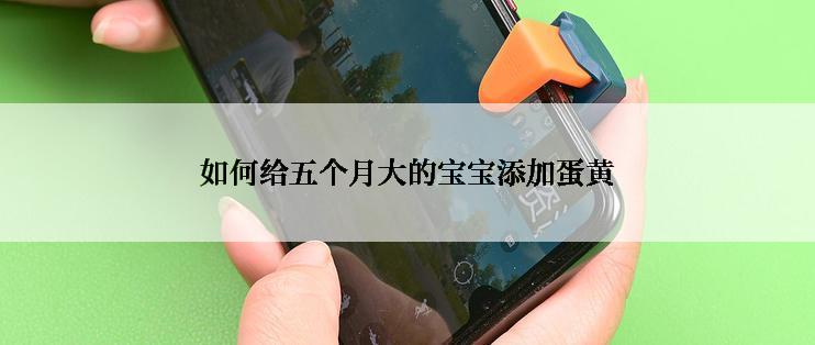 如何给五个月大的宝宝添加蛋黄