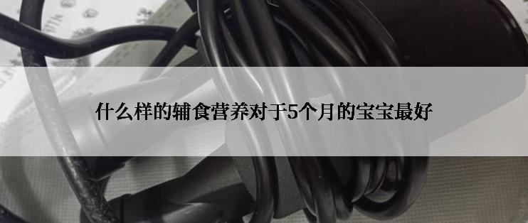 什么样的辅食营养对于5个月的宝宝最好