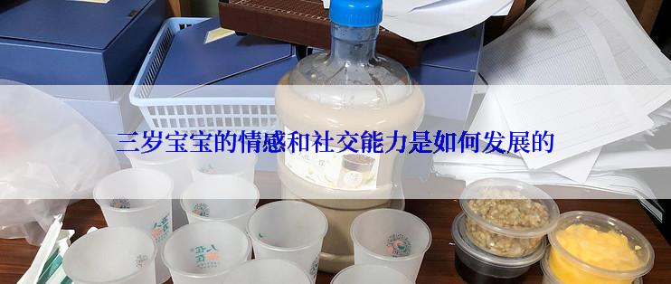 三岁宝宝的情感和社交能力是如何发展的