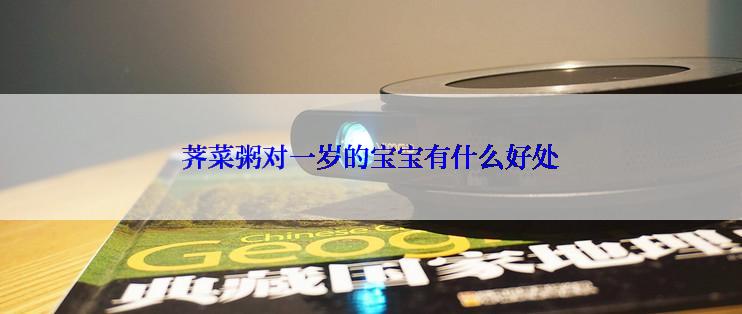 荠菜粥对一岁的宝宝有什么好处