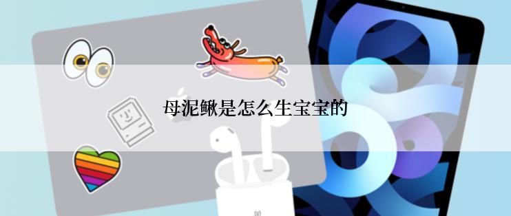 母泥鳅是怎么生宝宝的
